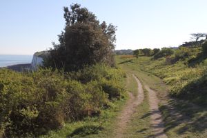 Photo 14- click for photo gallery